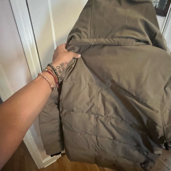 Canada goose - Picture 4 of 9